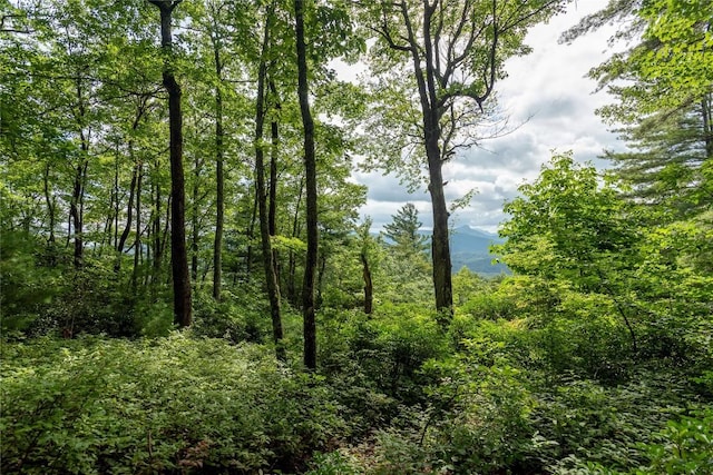 LOT15 W Whitetail Dr, Sapphire, NC 28774 - photo 6