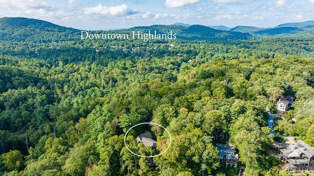 bird's eye view featuring a mountain view