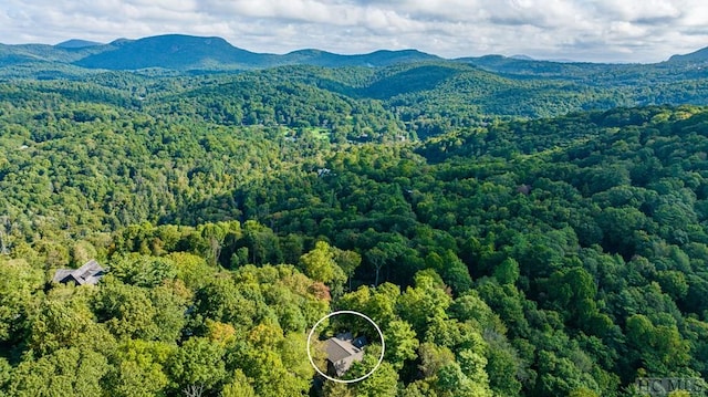 aerial view featuring a mountain view