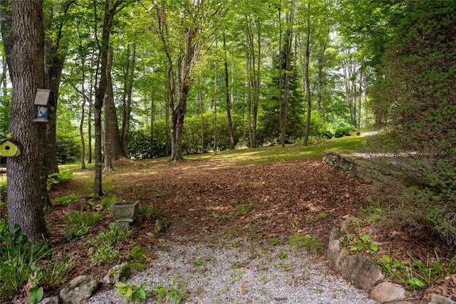 546 Upsy Daisy Ln, Cullowhee, NC 28723 - view of yard