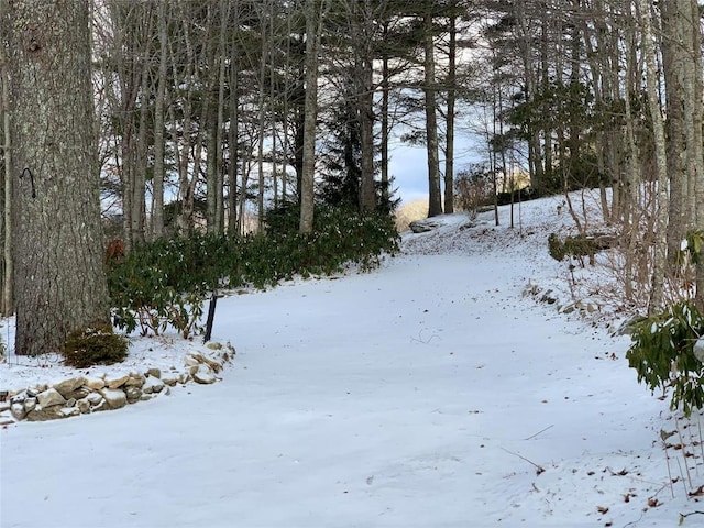 546 Upsy Daisy Ln, Cullowhee, NC 28723 - view of yard covered in snow