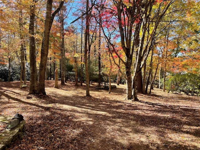 546 Upsy Daisy Ln, Cullowhee, NC 28723 - view of yard