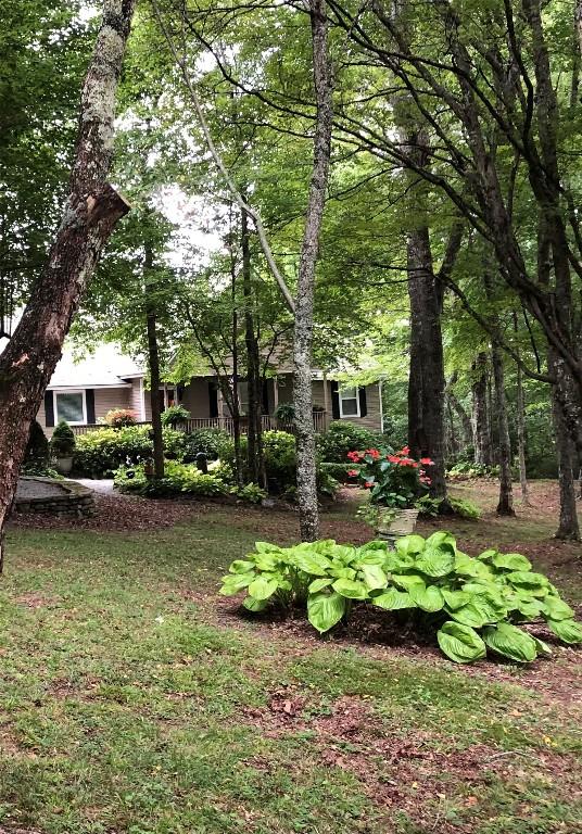 546 Upsy Daisy Ln, Cullowhee, NC 28723 - view of yard