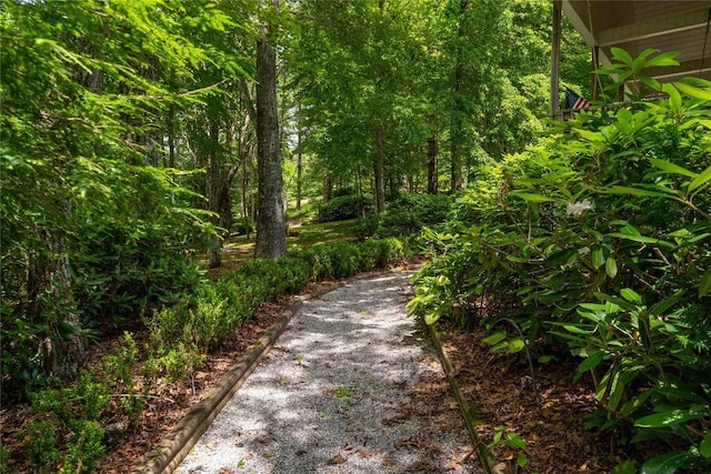 546 Upsy Daisy Ln, Cullowhee, NC 28723 - view of road
