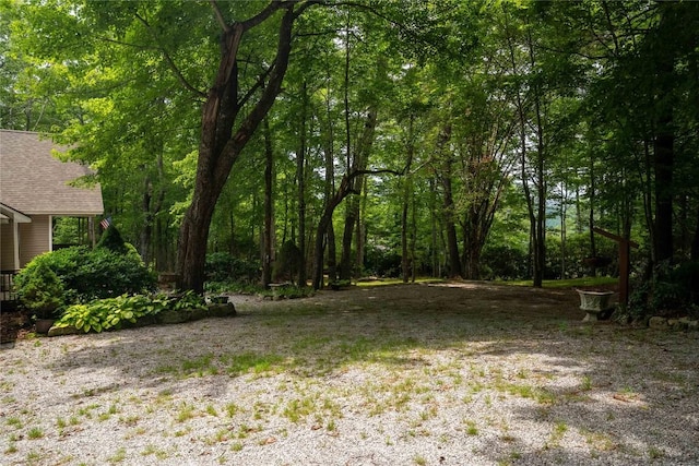 546 Upsy Daisy Ln, Cullowhee, NC 28723 - view of yard