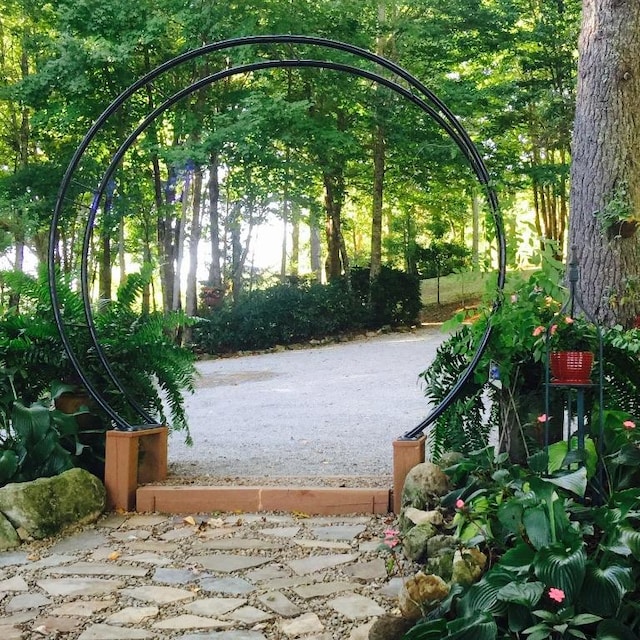 546 Upsy Daisy Ln, Cullowhee, NC 28723 - surrounding community