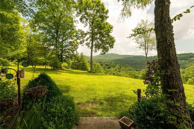 546 Upsy Daisy Ln, Cullowhee, NC 28723 - view of grassy yard featuring a wooded view