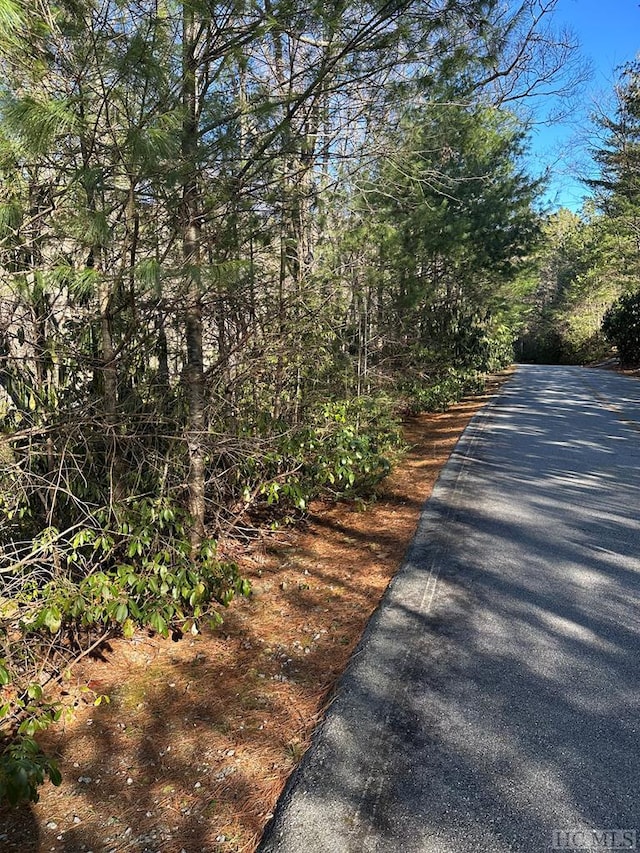 LOT137 N Buckberry Dr, Sapphire NC, 28774 land for sale