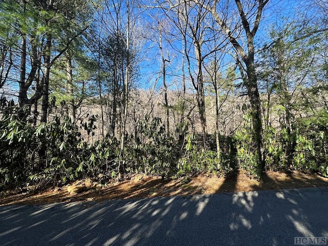 Listing photo 3 for LOT137 N Buckberry Dr, Sapphire NC 28774