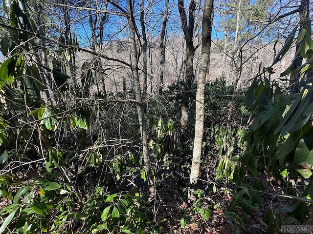 Listing photo 2 for LOT137 N Buckberry Dr, Sapphire NC 28774