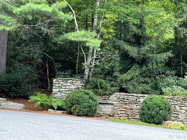 Listing photo 3 for N-20 Fox Fire, Cashiers NC 28717