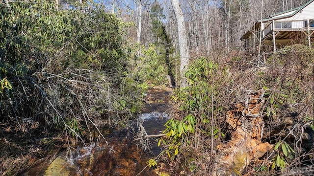 view of local wilderness