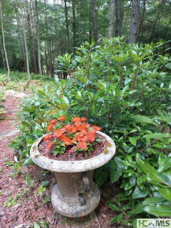 400 Cole Mountain Cir, Highlands, NC 28741 - view of exterior details