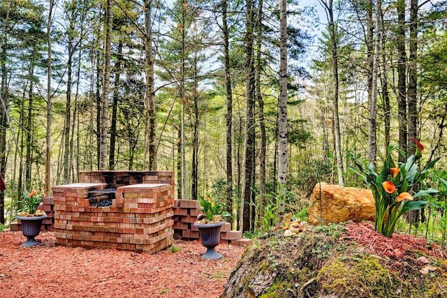 400 Cole Mountain Cir, Highlands, NC 28741 - view of yard