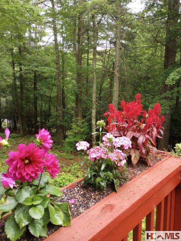 400 Cole Mountain Cir, Highlands, NC 28741 - view of yard featuring a view of trees