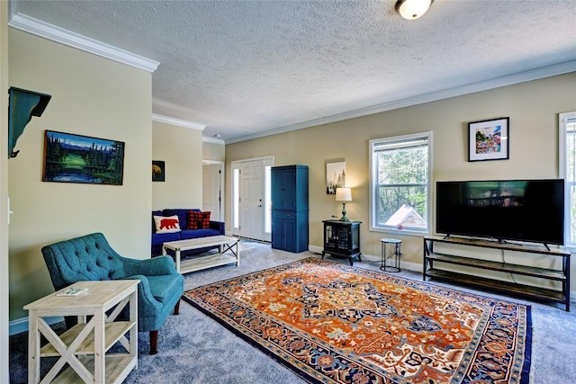 400 Cole Mountain Cir, Highlands, NC 28741 - carpeted living room with baseboards, ornamental molding, and a textured ceiling