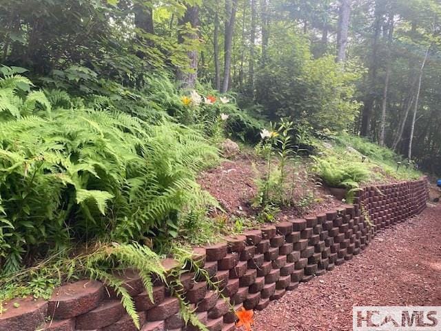400 Cole Mountain Cir, Highlands, NC 28741 - view of yard