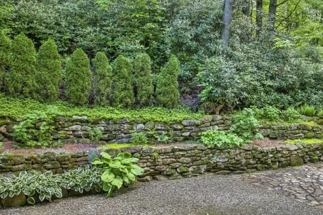 view of nature