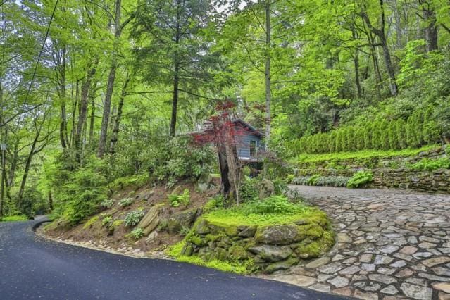 view of home's community featuring a forest view