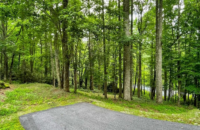 Listing photo 3 for TBD Arnold Rd, Highlands NC 28741