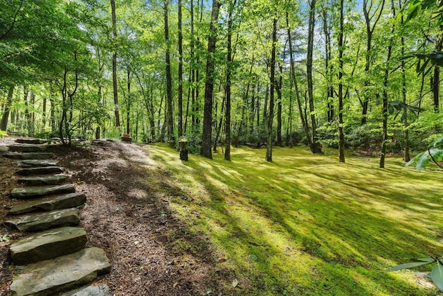 599 Tower Rd, Sapphire, NC 28774 - view of yard