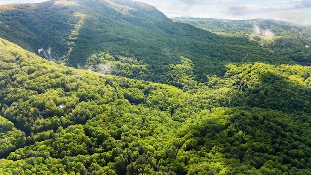 599 Tower Rd, Sapphire, NC 28774 - mountain view with a heavily wooded area