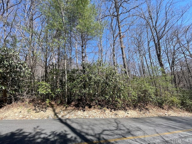 Listing photo 3 for LOT33 Beech Ct, Sapphire NC 28774