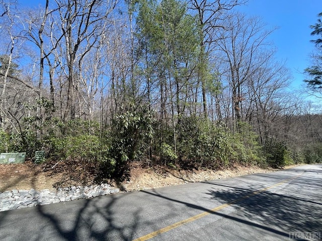 Listing photo 2 for LOT33 Beech Ct, Sapphire NC 28774