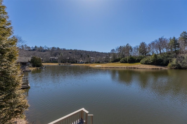 view of water feature