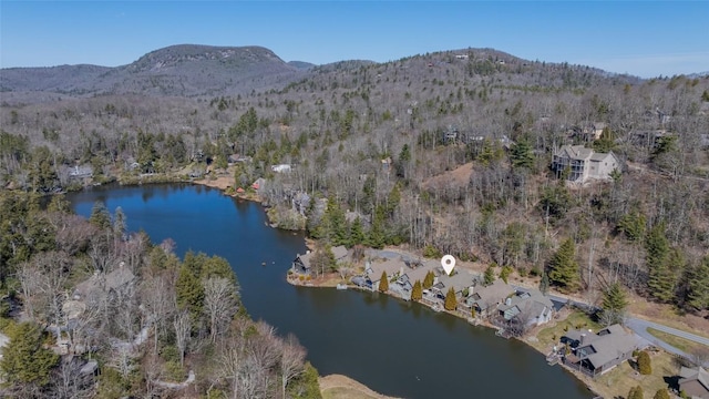 bird's eye view with a forest view and a water and mountain view