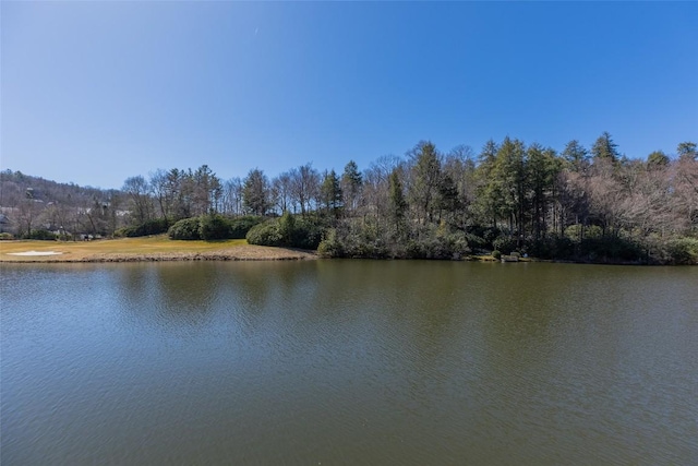 property view of water with a wooded view