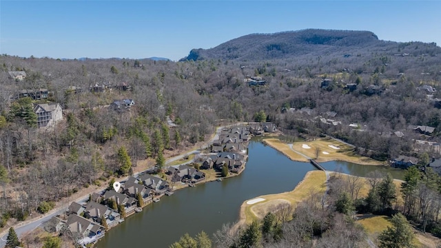 birds eye view of property featuring a view of trees and a water and mountain view