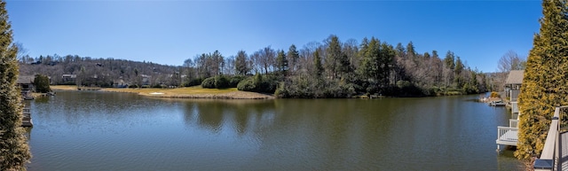 water view featuring a wooded view