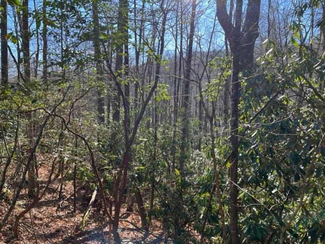 LOT89 Christy Trl, Sapphire NC, 28774 land for sale