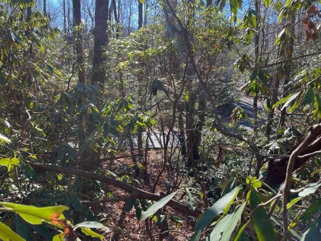 Listing photo 2 for LOT89 Christy Trl, Sapphire NC 28774