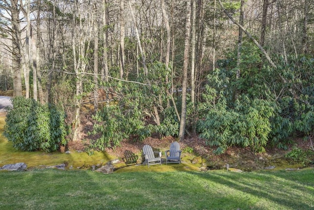 542 Cross Creek Trl, Cullowhee, NC 28723 - view of green lawn