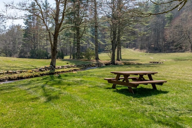 542 Cross Creek Trl, Cullowhee, NC 28723 - view of home's community with a yard and a forest view
