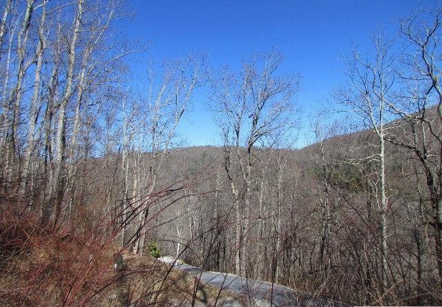 LOT33 Spikemoss Rd, Sapphire, NC 28774 - photo 1