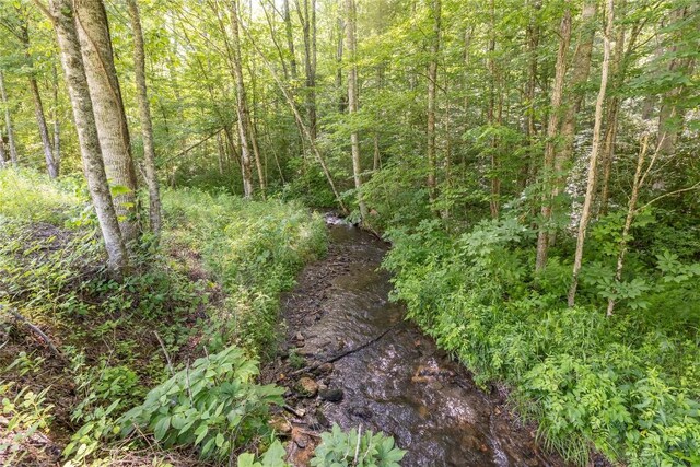 524 White Rock Rd, Cullowhee, NC 28723 - photo 12
