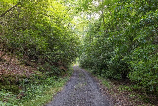 524 White Rock Rd, Cullowhee, NC 28723 - photo 31