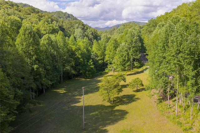 524 White Rock Rd, Cullowhee, NC 28723 - photo 37