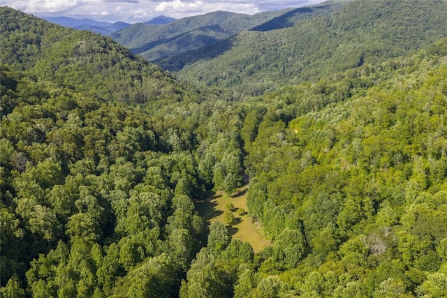 524 White Rock Rd, Cullowhee, NC 28723 - photo 36