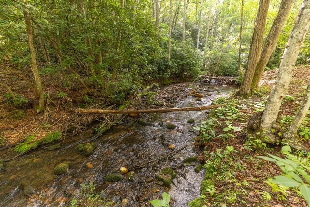 524 White Rock Rd, Cullowhee, NC 28723 - photo 22