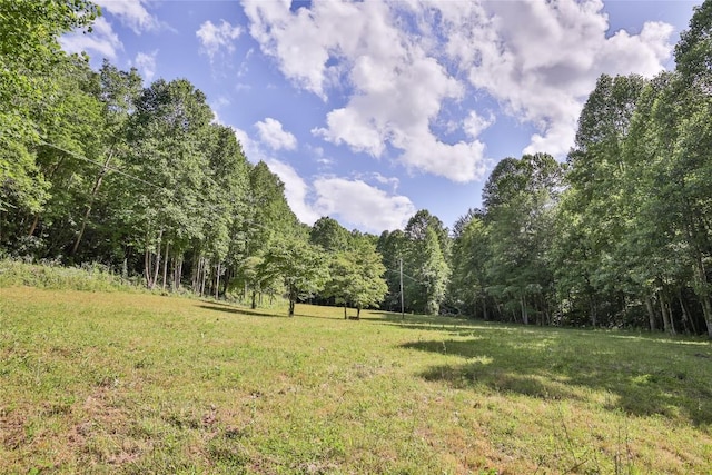 524 White Rock Rd, Cullowhee, NC 28723 - photo 13