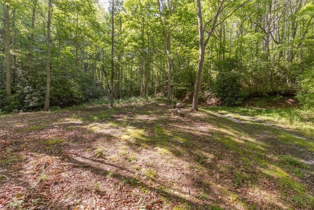 524 White Rock Rd, Cullowhee, NC 28723 - photo 17