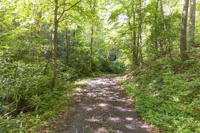 524 White Rock Rd, Cullowhee, NC 28723 - photo 21