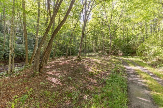 524 White Rock Rd, Cullowhee, NC 28723 - photo 4
