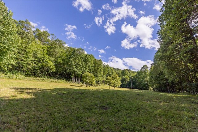524 White Rock Rd, Cullowhee, NC 28723 - photo 11