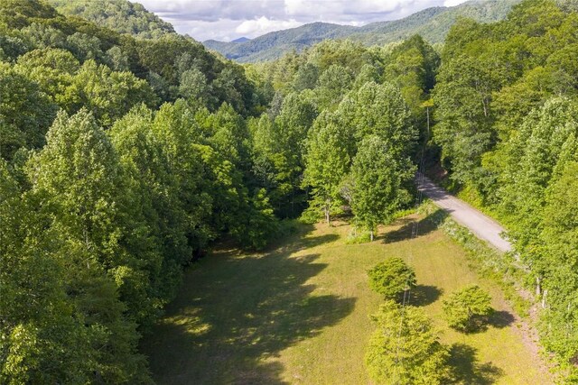 524 White Rock Rd, Cullowhee, NC 28723 - photo 15