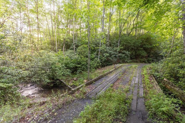 524 White Rock Rd, Cullowhee, NC 28723 - photo 30